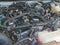 2024 Toyota TACOMA TRD SPORT TRD Sport