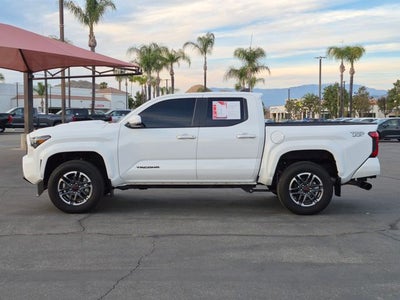 2024 Toyota TACOMA TRD SPORT TRD Sport