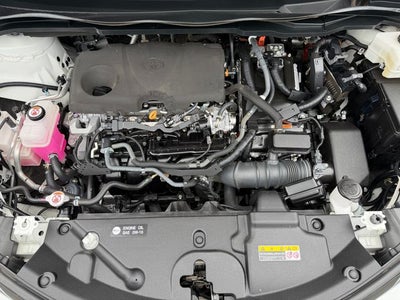 2023 Toyota Sienna XLE 7 Passenger