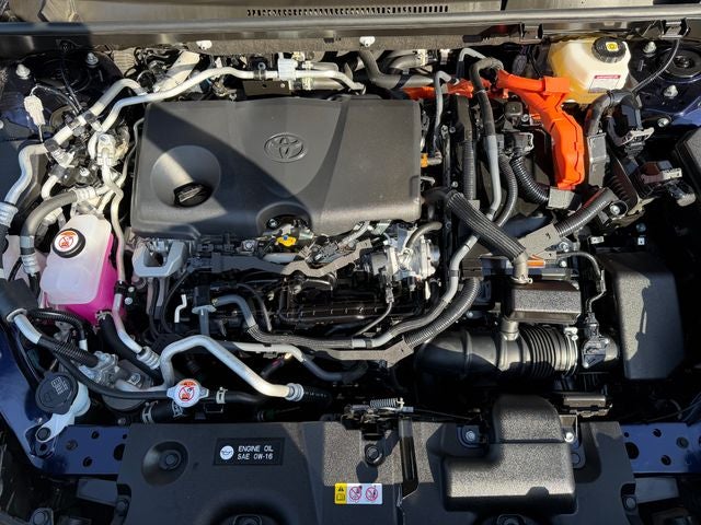 2025 Toyota RAV4 XSE AWD XSE