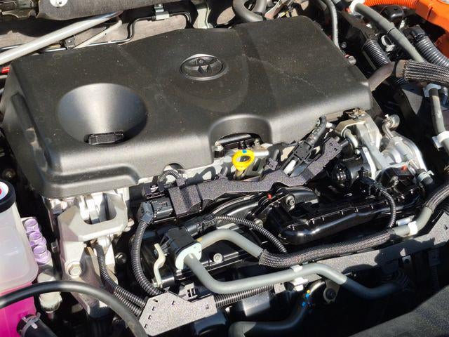 2019 Toyota RAV4 HYBRID XLE