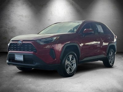 2025 Toyota RAV4 XLE