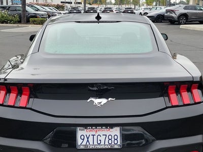 2026 Ford Mustang EcoBoost