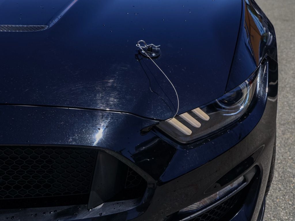 2016 Ford Mustang Shelby GT350