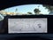 2024 Kia EV6 Light